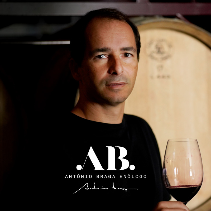 António Braga